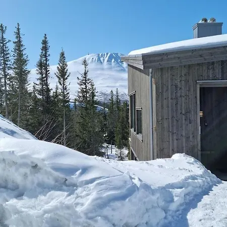 Fin Med Flott Utsikt Til Gaustatoppen * Rjukan