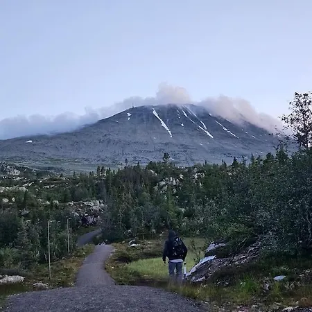 Fin Med Flott Utsikt Til Gaustatoppen * Rjukan
