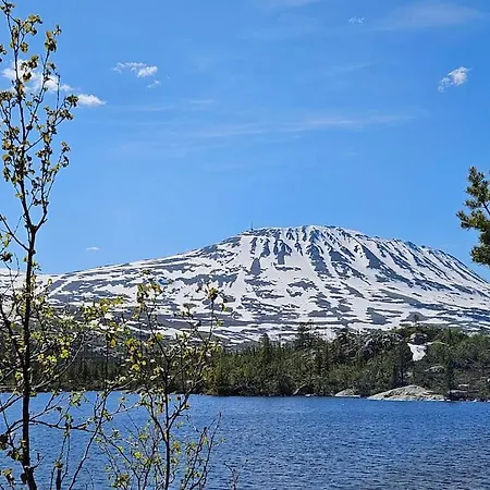 Apartmán Fin Med Flott Utsikt Til Gaustatoppen Rjukan