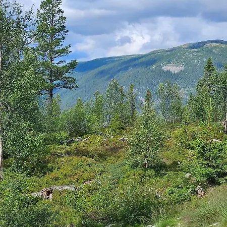 Fin Med Flott Utsikt Til Gaustatoppen Apartmán