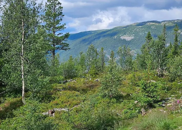 Fin Med Flott Utsikt Til Gaustatoppen Apartment