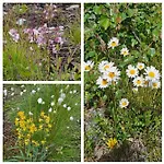 Fin Med Flott Utsikt Til Gaustatoppen רוקאן