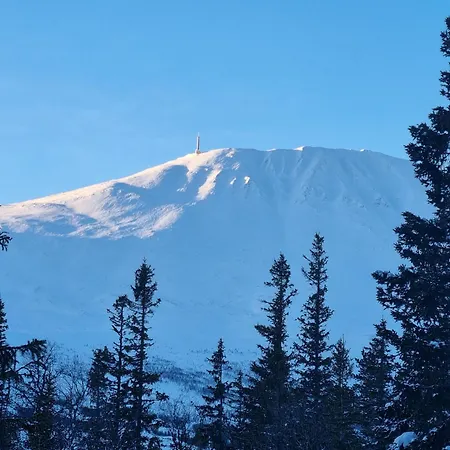 דירה Fin Med Flott Utsikt Til Gaustatoppen רוקאן